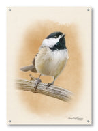 Chickadee on a metal frame