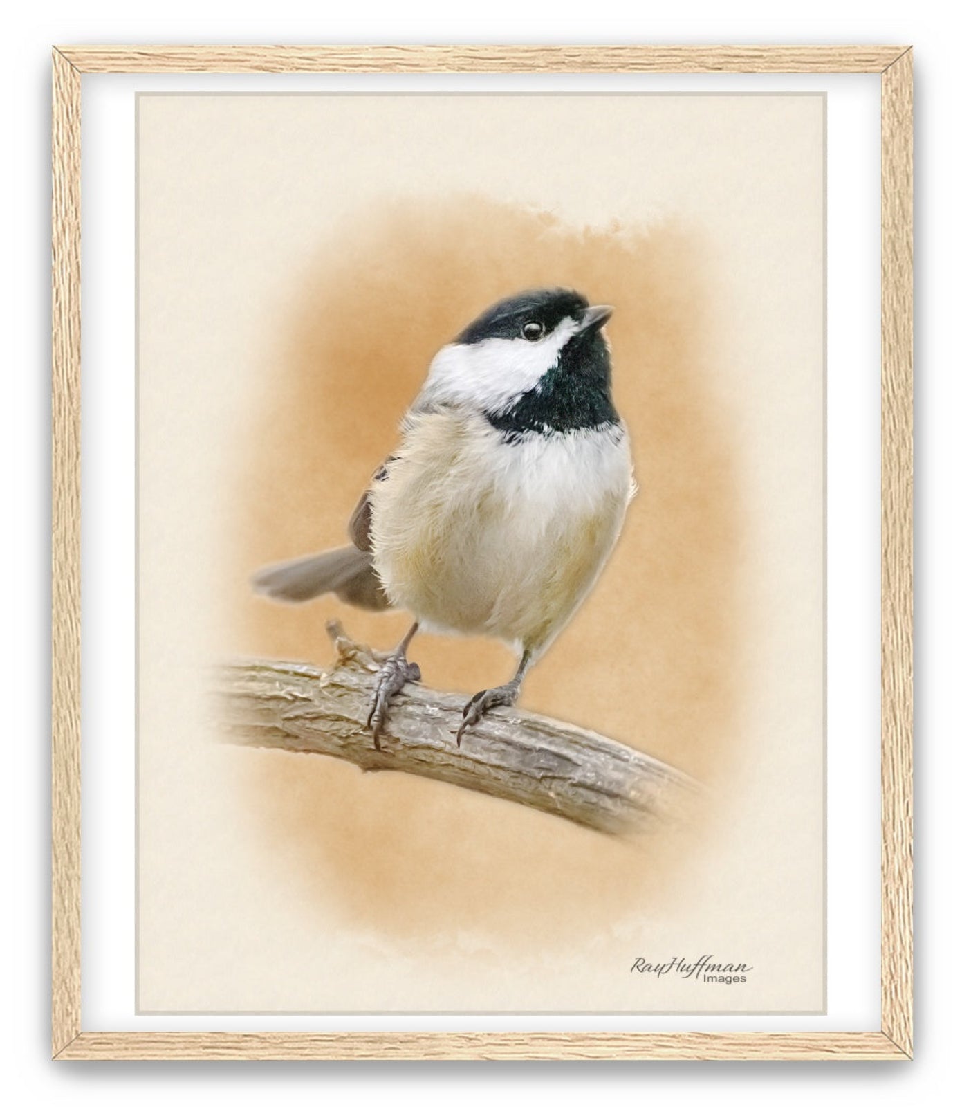 Chickadee