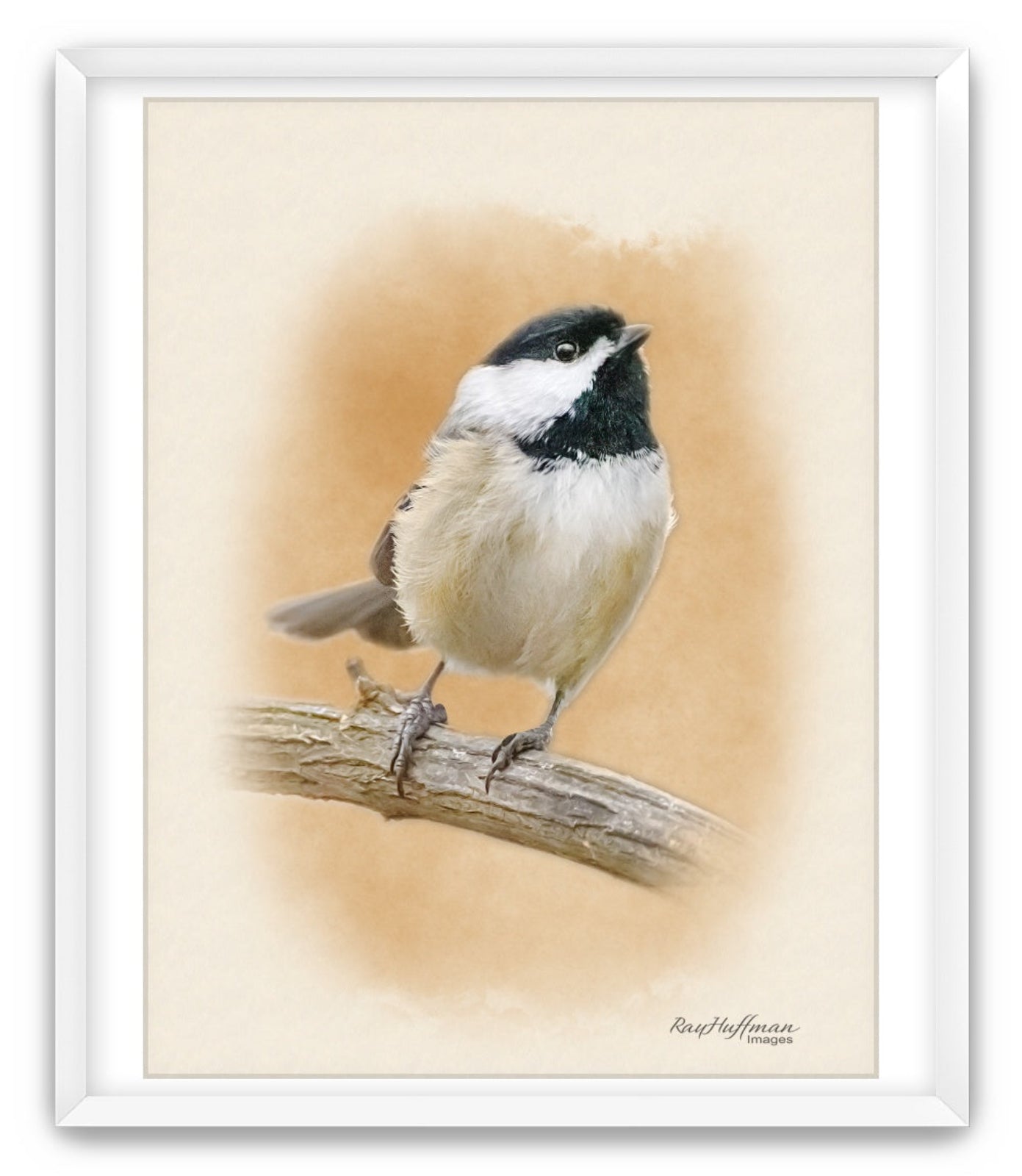 Chickadee