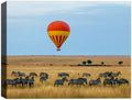 photo of a hot air balloon with zebras roaming the grassy plains below