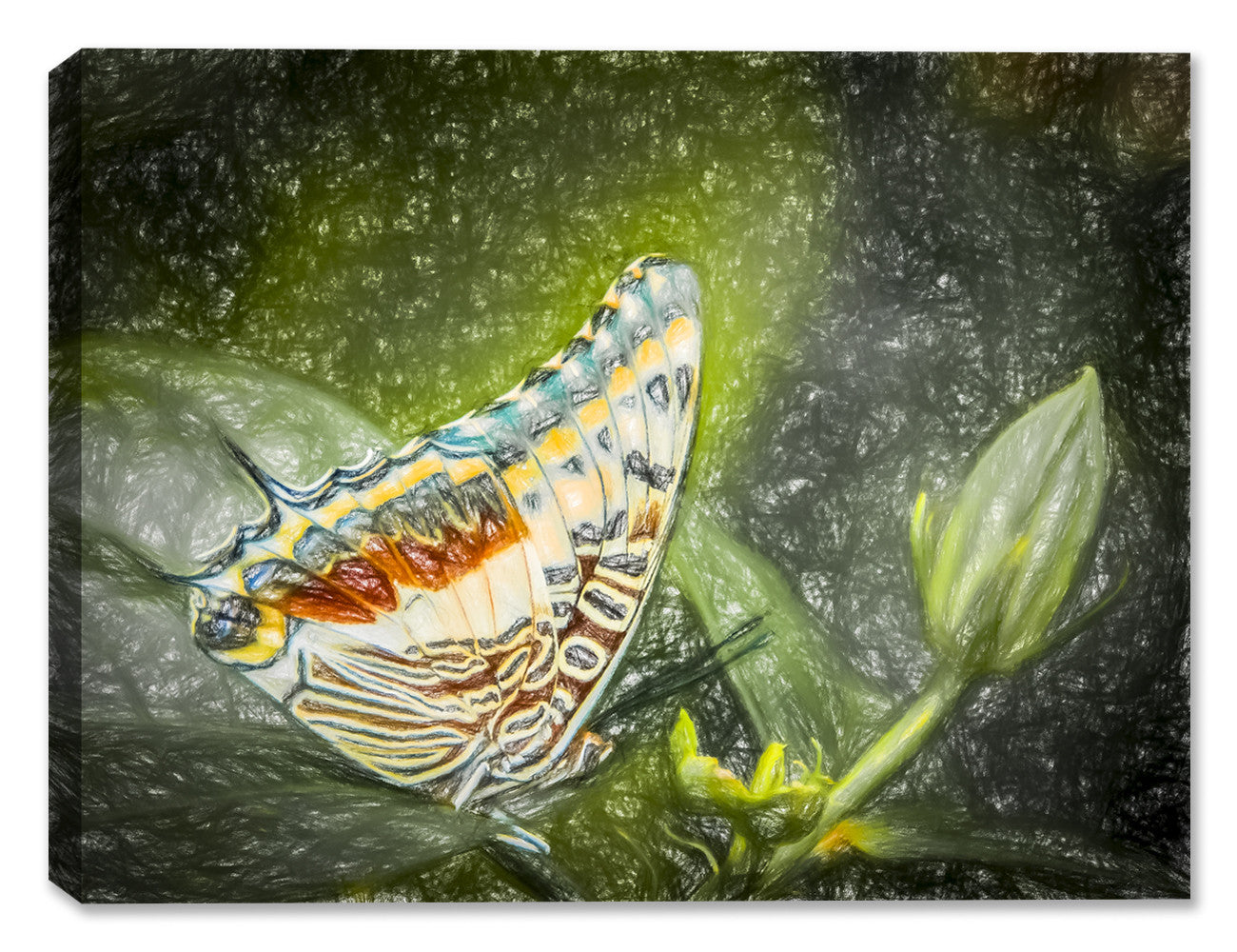 Painting of a Monarch Butterfly - Printed on Canvas