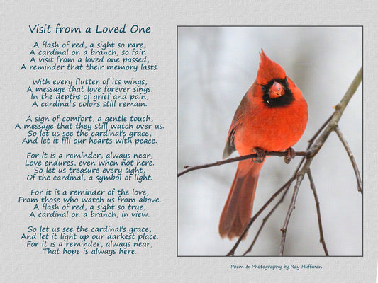 Fine Art Photo and Text of a Male Cardinal with Text about a loved one who has passed.  Printed on Canvas.