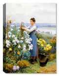 American Chrysanthemums by Daniel Knight - Classic Art on Canvas