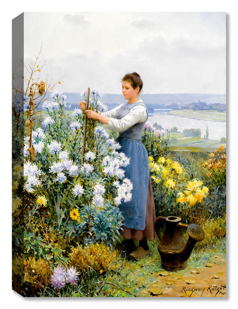 American Chrysanthemums by Daniel Knight - Classic Art on Canvas