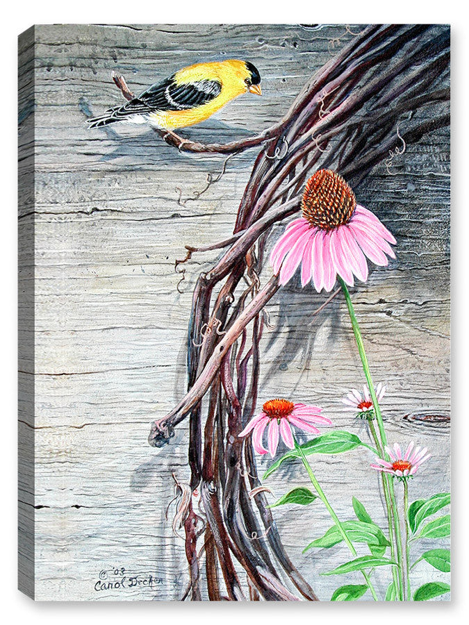 American Goldfinch on Vine - Canvas Art Plus