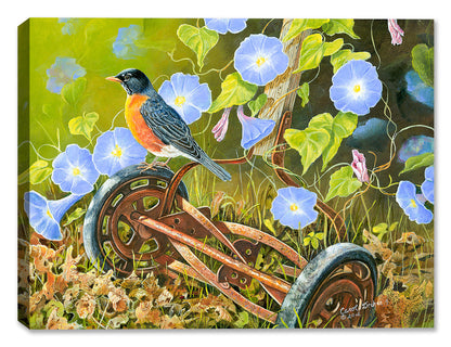 American Robin - Painting by Carol Decker - Canvas Art Plus