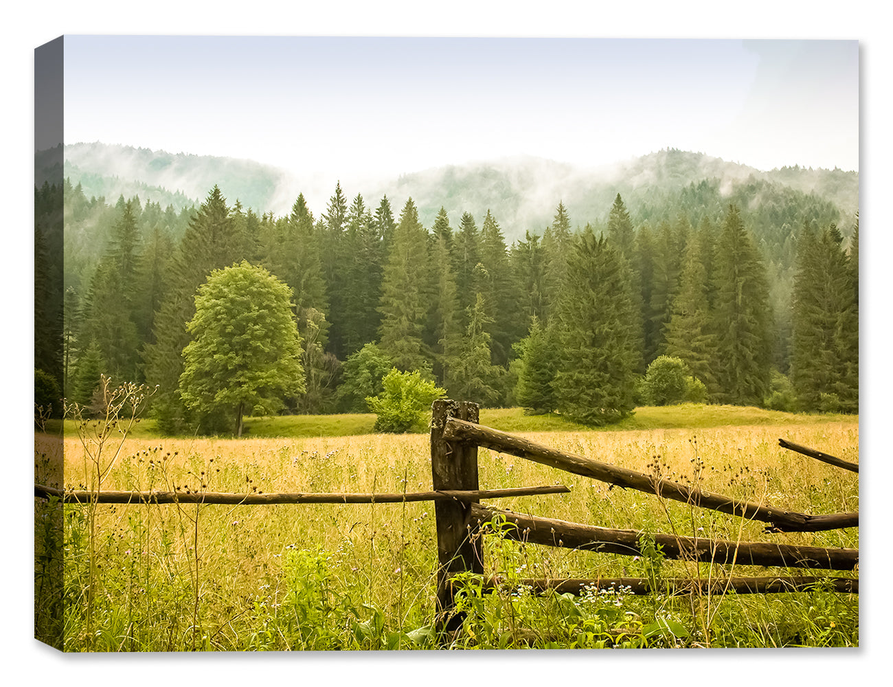 Image of Autumn Woods on Canvas