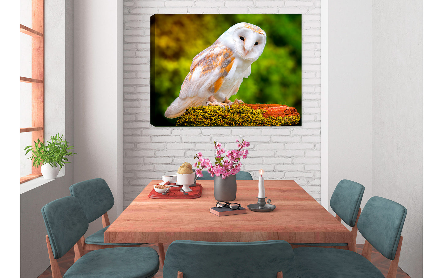 Owl Photo on Canvas in Dining Room