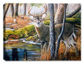 A painting of a deer buck near the Beaver Pond print on a canvas wrap