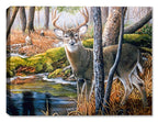 A painting of a deer buck near the Beaver Pond print on a canvas wrap