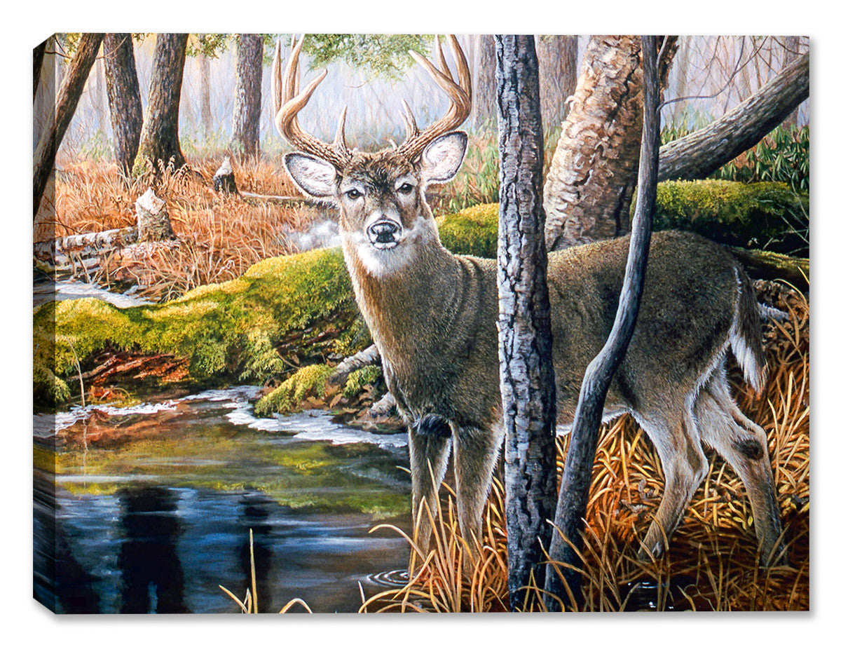 A painting of a deer buck near the Beaver Pond print on a canvas wrap