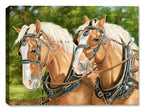 Buck and Babe - Horses by Carol Decker - on Canvas 