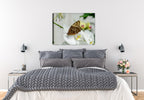 High Resolution of a  Monarch butterfly on a white orchid. Printed on Canvas - Hung on Bedroom Wall.