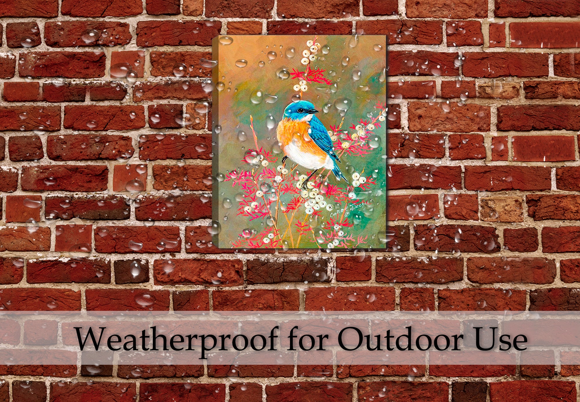 Painting of a Bluebird Beauty on a Dogwood Tree - Printed on a canvas wrap hanging on a brick wall on the patio.