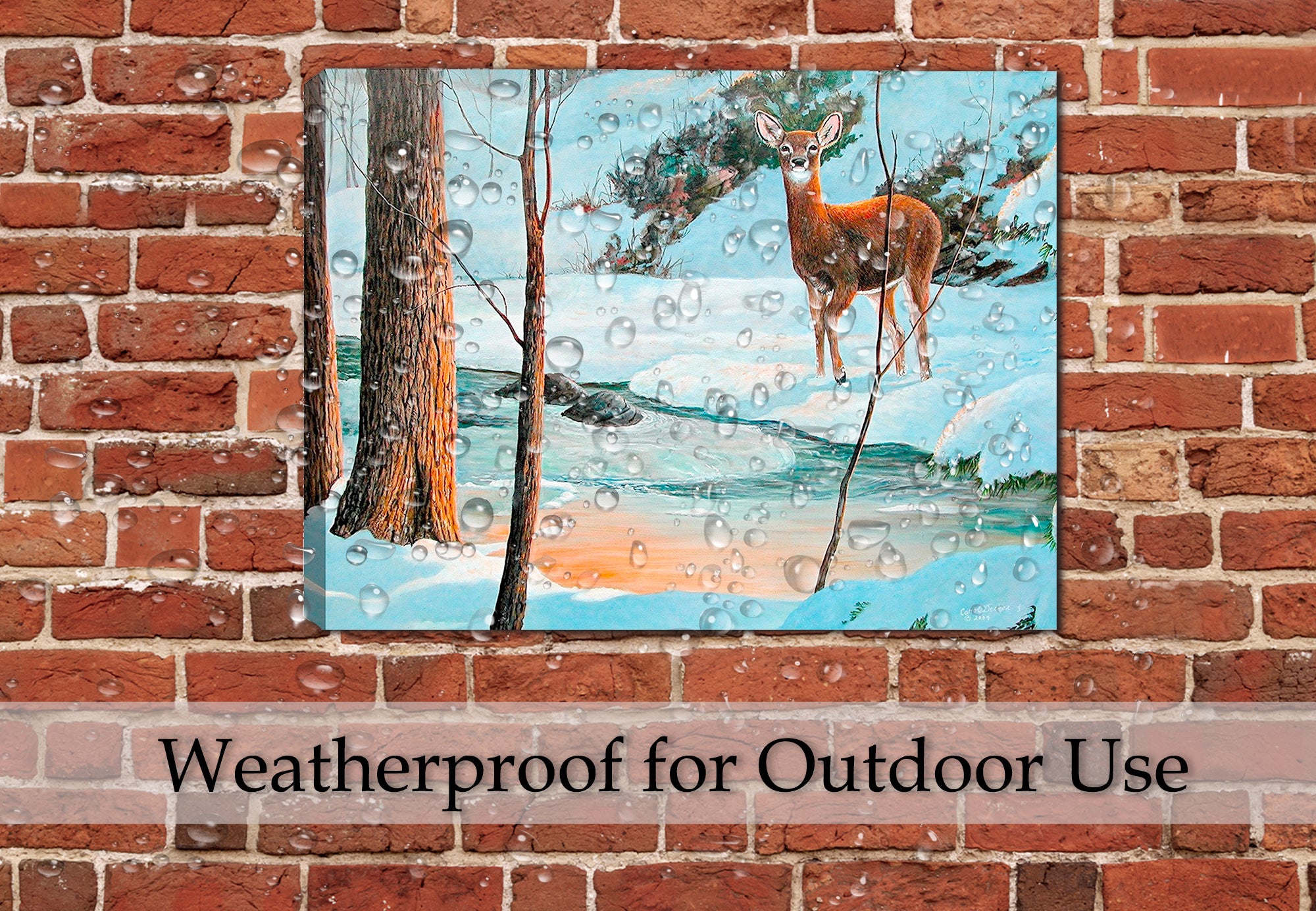 Icy Glow Doe - Painting by Carol Decker - Printed on Canvas.  Hanging on Patio Wall in Pouring Rain - Waterproof.