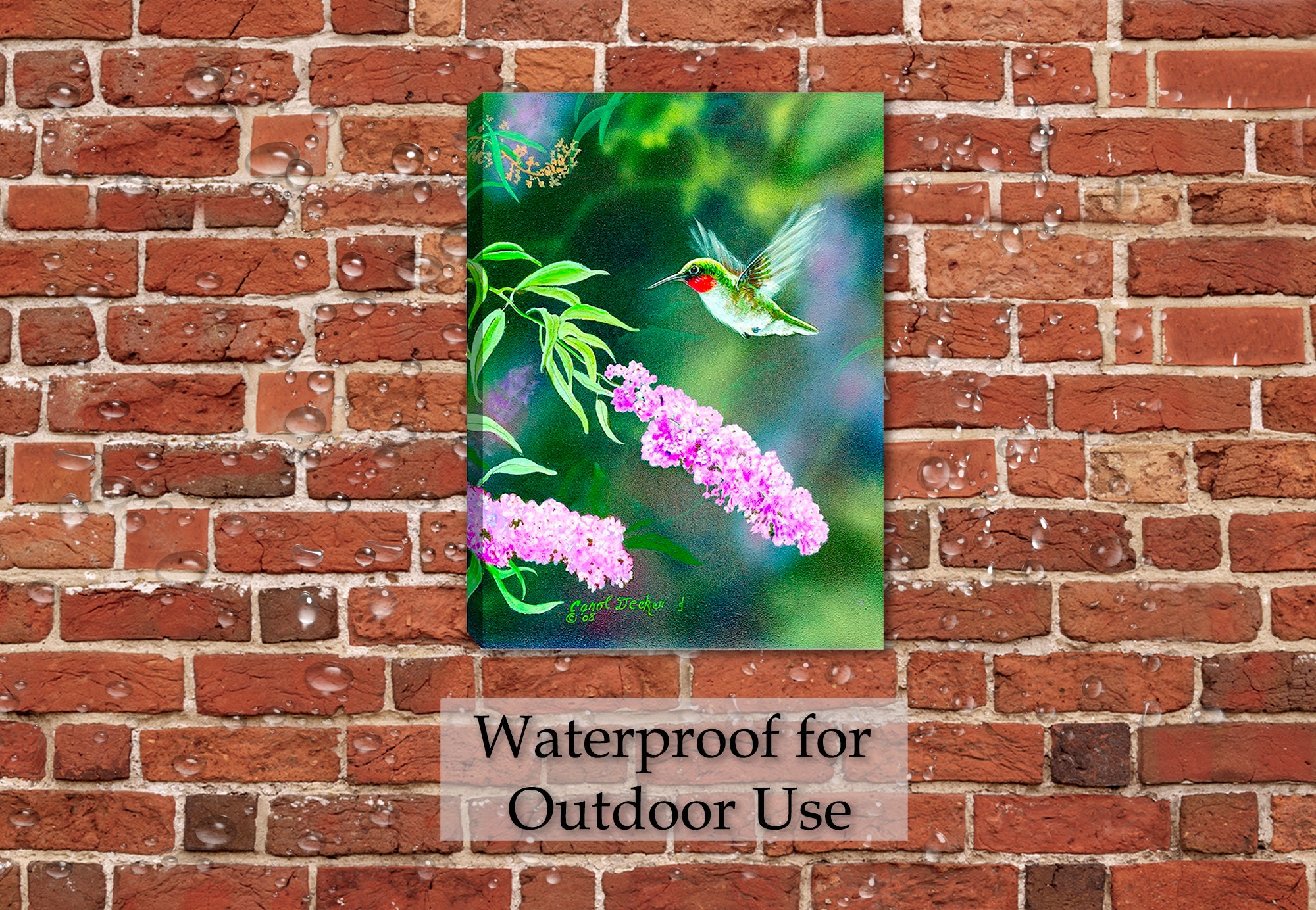 Summer Joy - Hummingbird  Painting - Printed on Outdoor Waterproof Canvas. Hanging on Brick Patio Wall in the Rain.