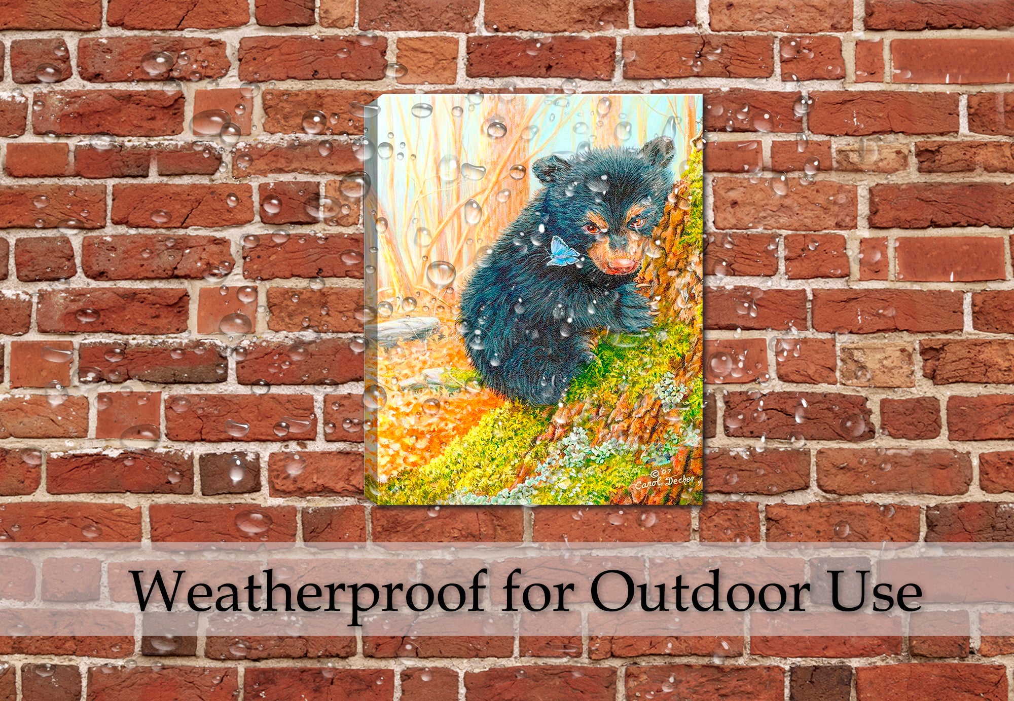 Painting of a Bear and the Butterfly -by Carol Decker - Printed on Canvas - Hung on Patio Wall in the Rain - Waterproof Canvas.