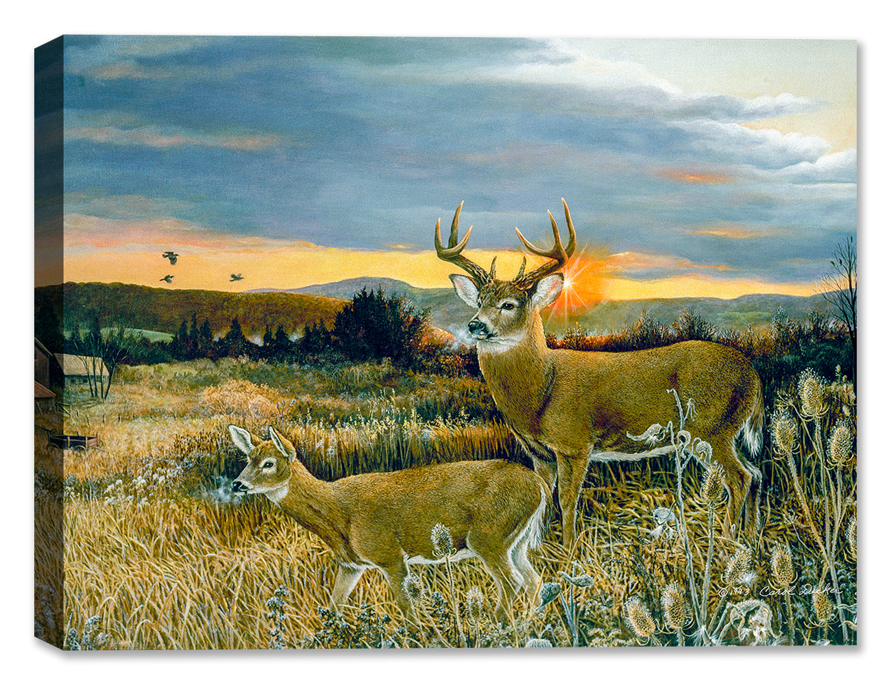Painting of a Buck & Foal on a Canvas Wrap