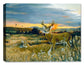 Buck & Foal at Sunset - Canvas Art