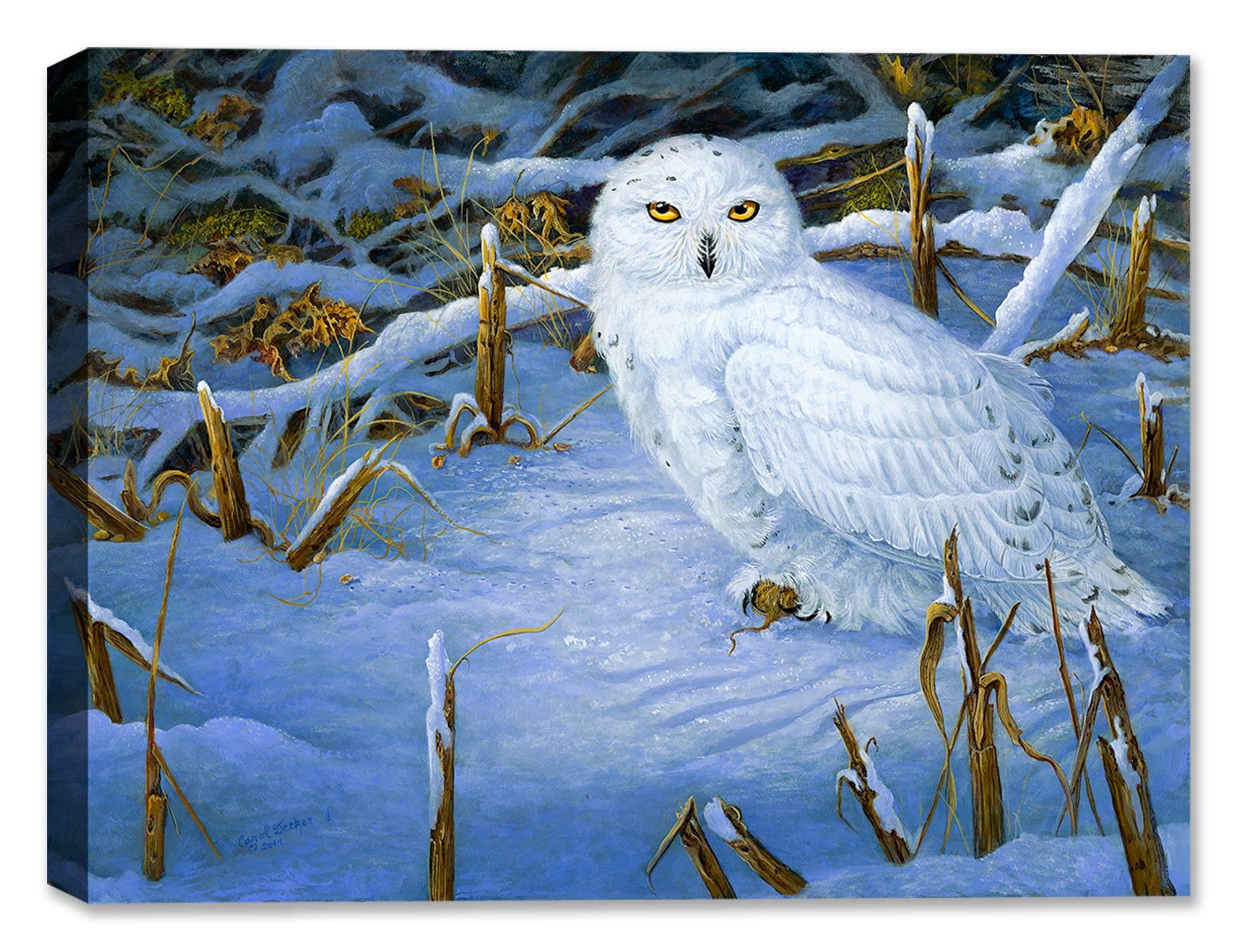 Painting of an Owl Standing in the Snow - Printed on Canvas 