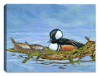 Hooded Merganser - Community Seat - Painting Printed on Canvas