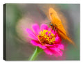Photograph of a Butterfly on a Pink Flower on Canvas