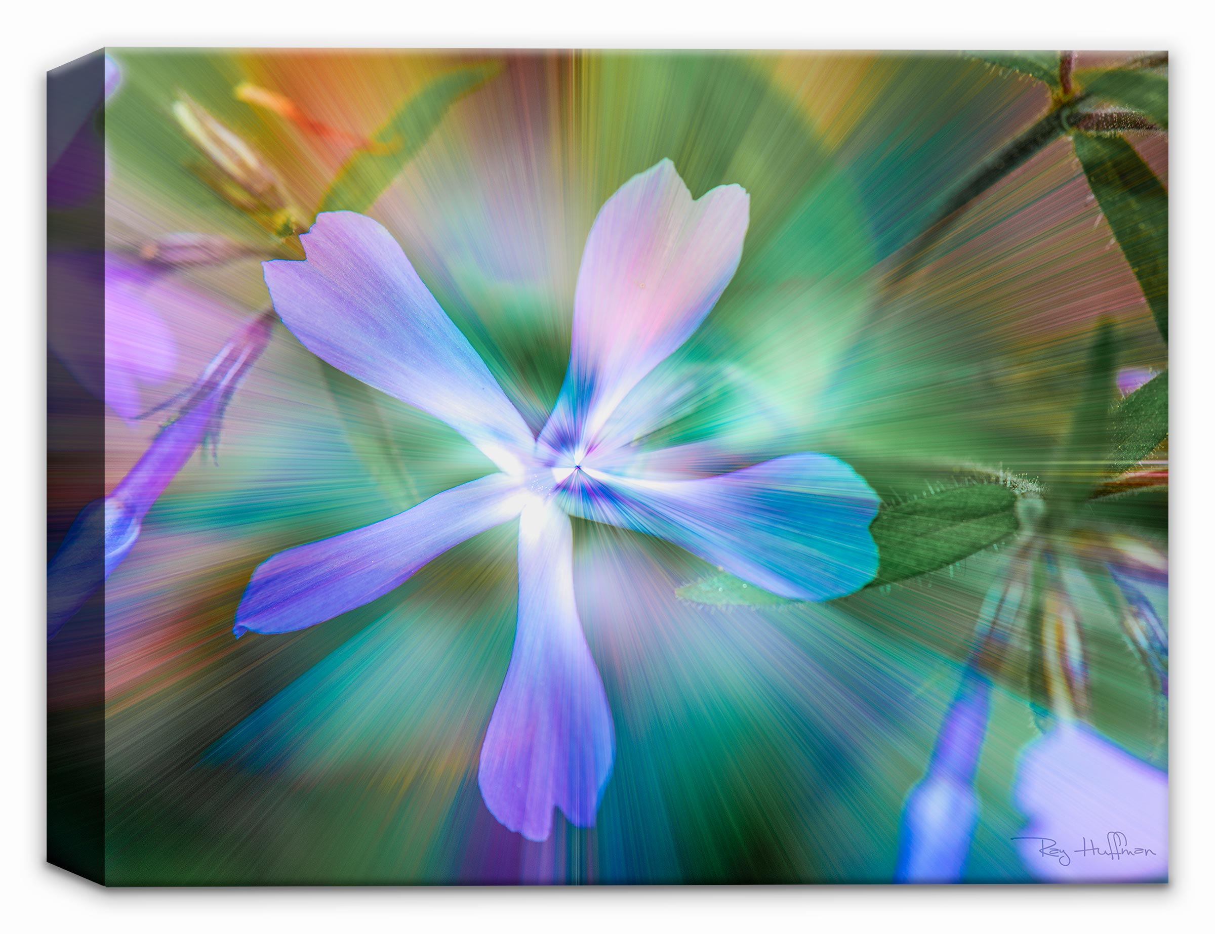 Abstract Flower Twirl on Canvas