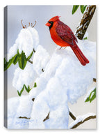 Cardinal on Snow - Painting  on Canvas