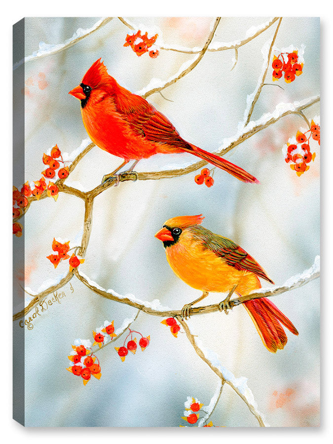 Cardinals Bird in the Bittersweet - printed n Canvas