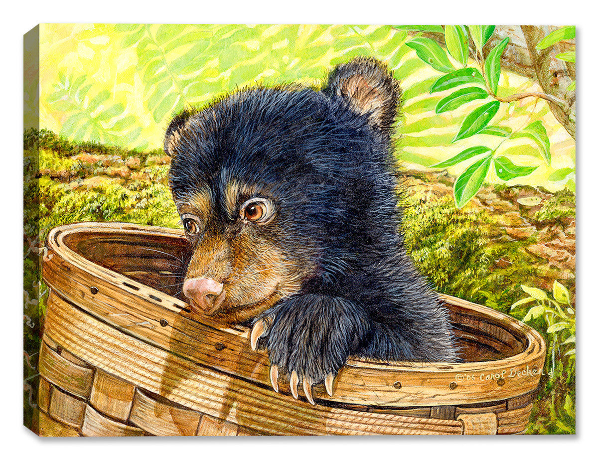 Caught in the Art - Cub Bear - Canvas Art Plus