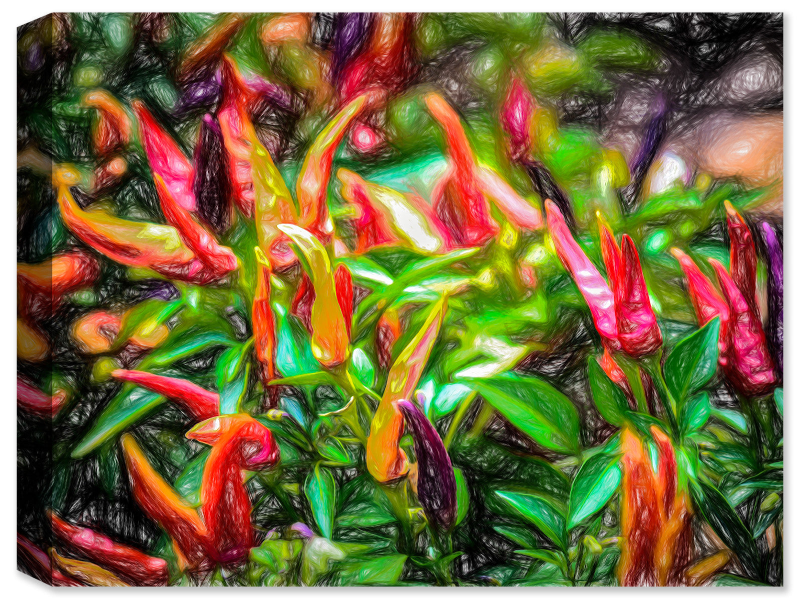 Red Hot Chili Peppers - 