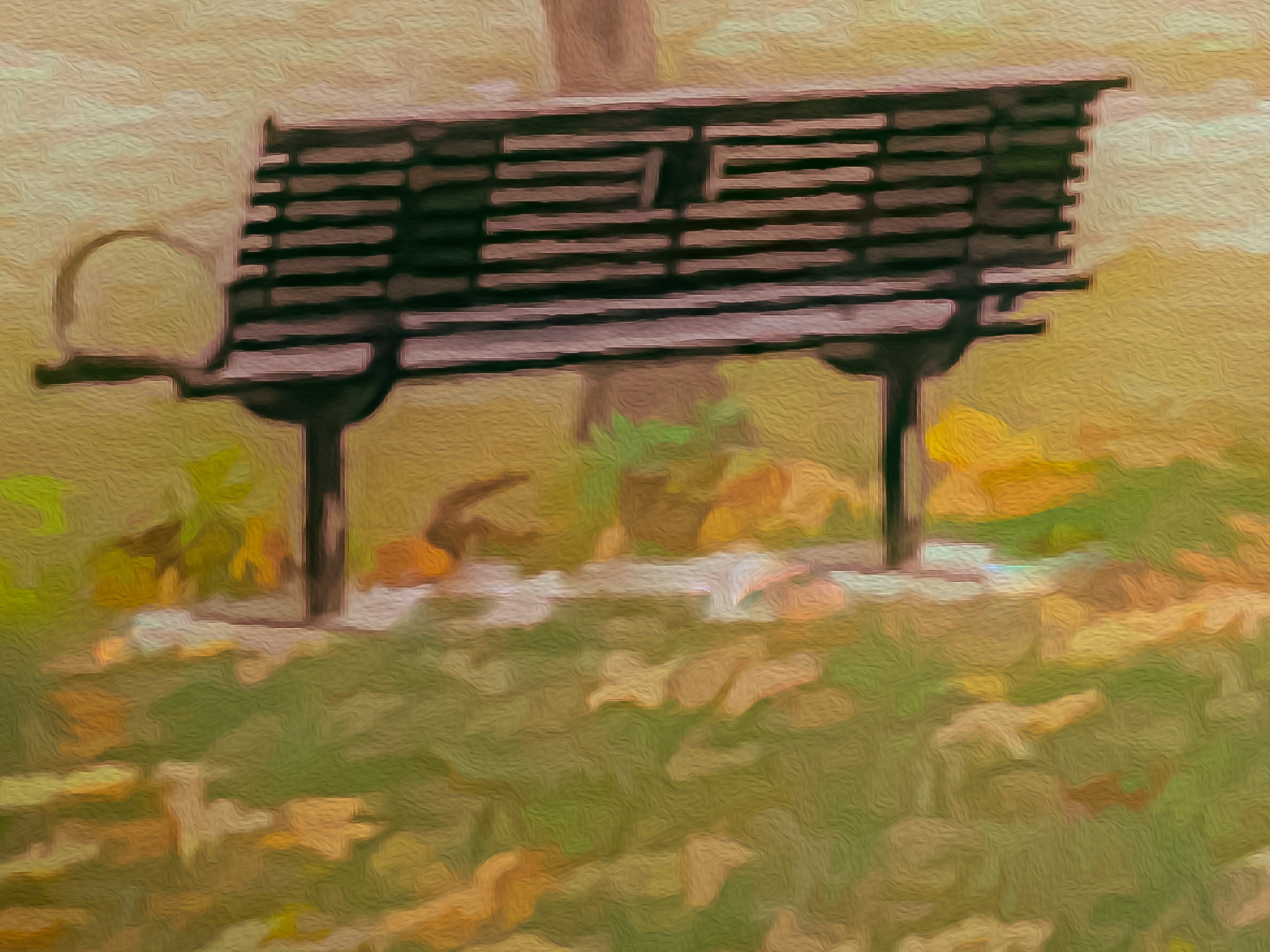 Close up photo of park bench