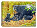 Crying Out Loud - Mama Bears and Cubs - Painting on Canvas