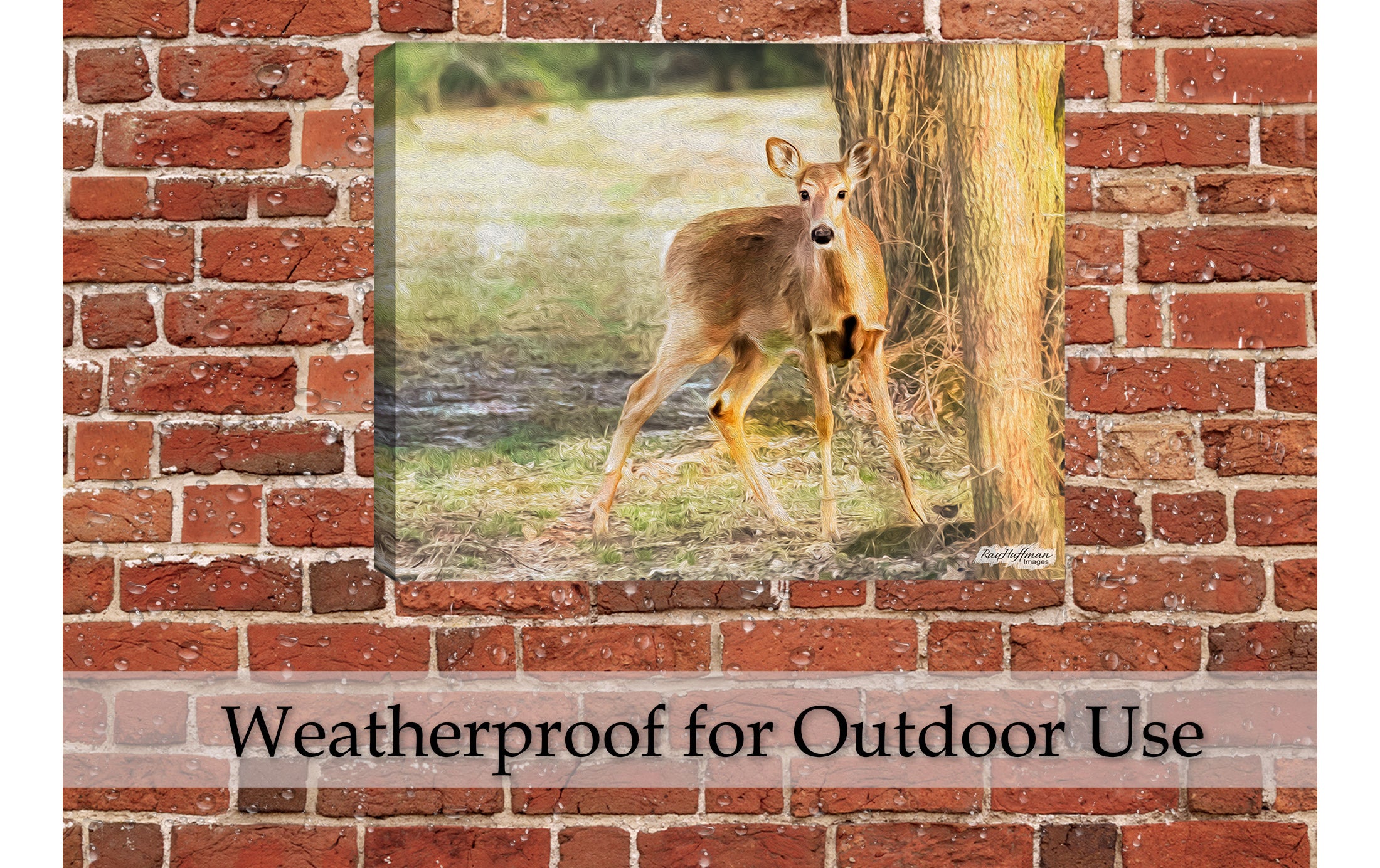 Deer Painting - Waterproof Hanging Outdoor Wall