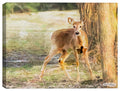 Deer Painting on Canvas  