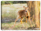 Deer Painting on Canvas  