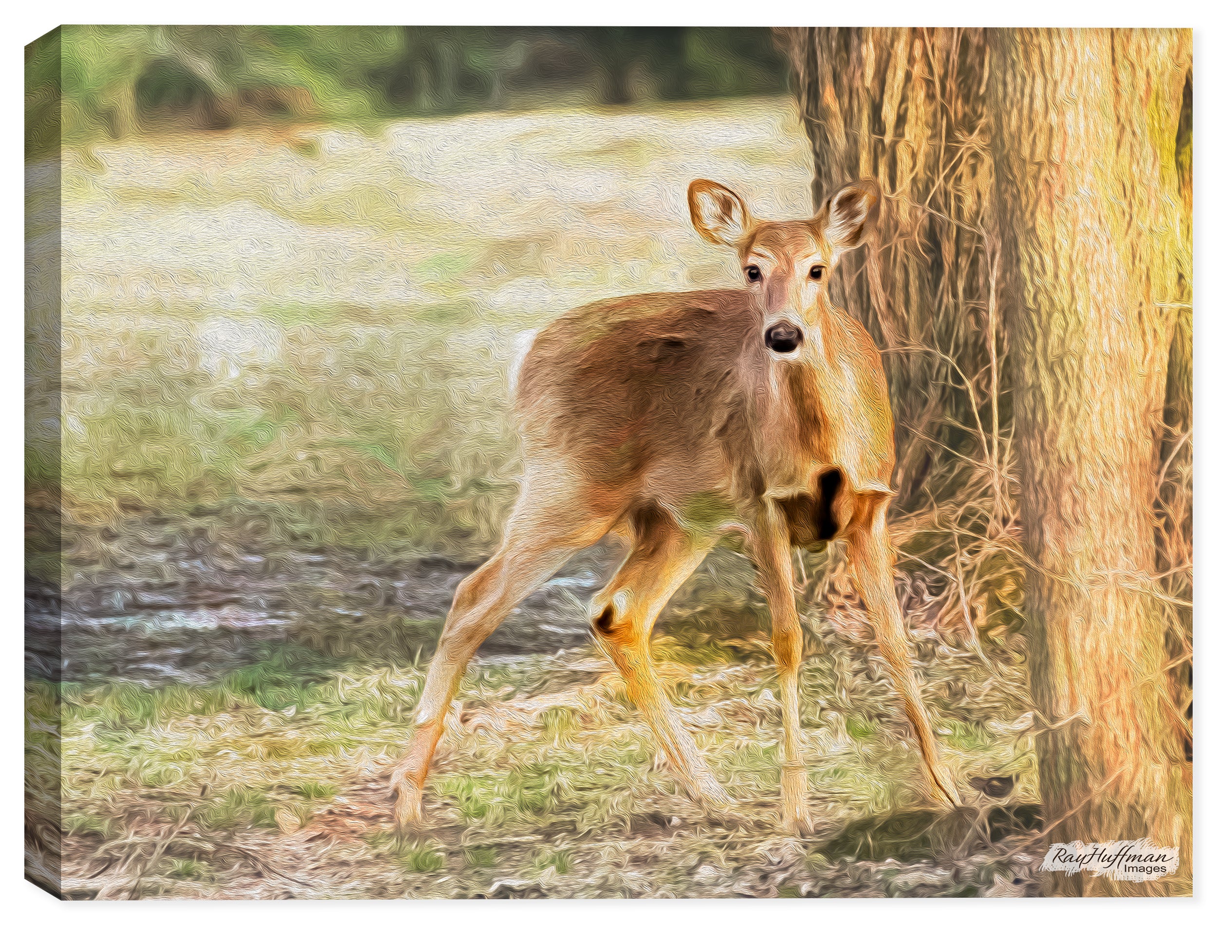 Deer Painting on Canvas  