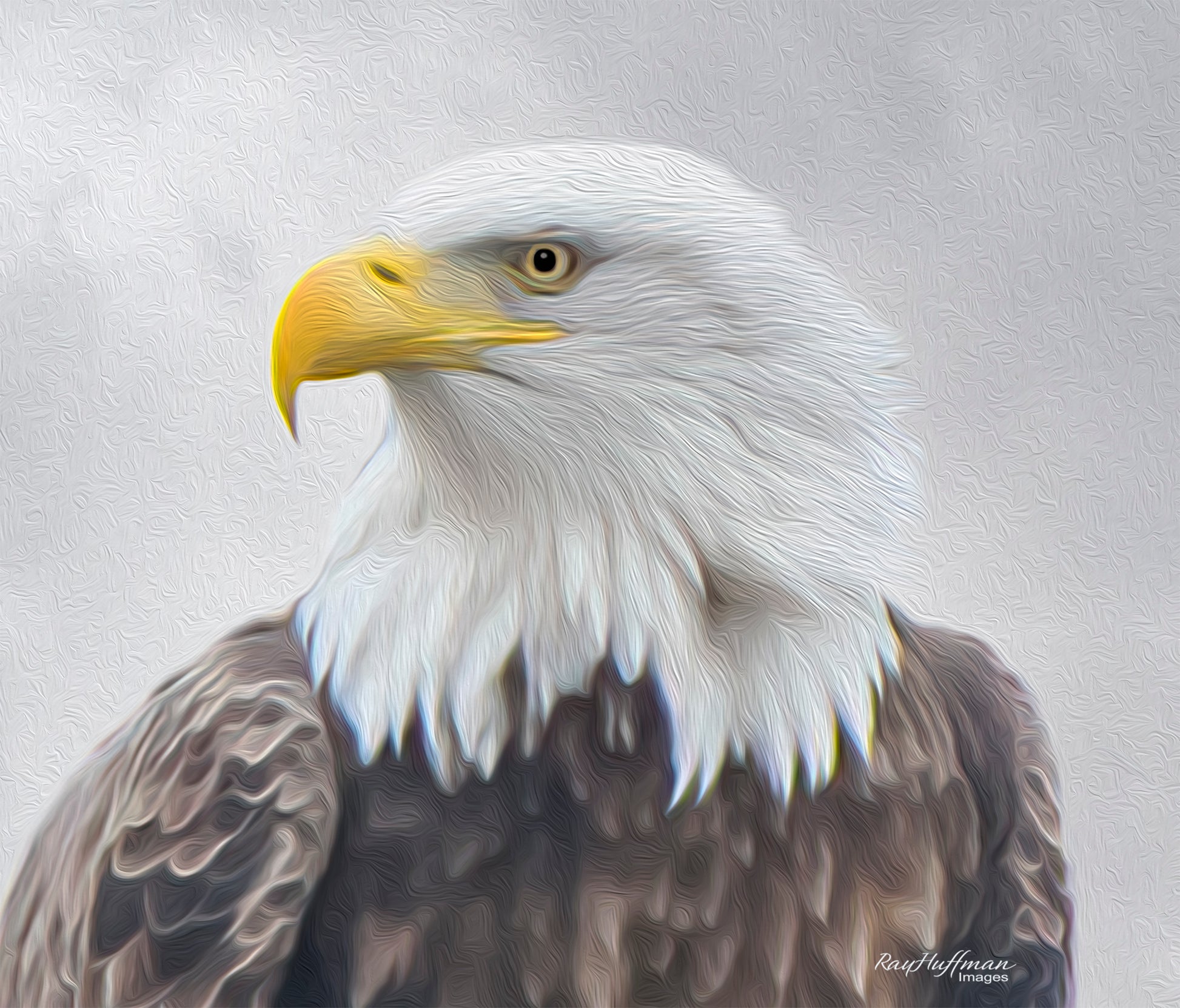 American Bald Eagle on a Branch - Painting