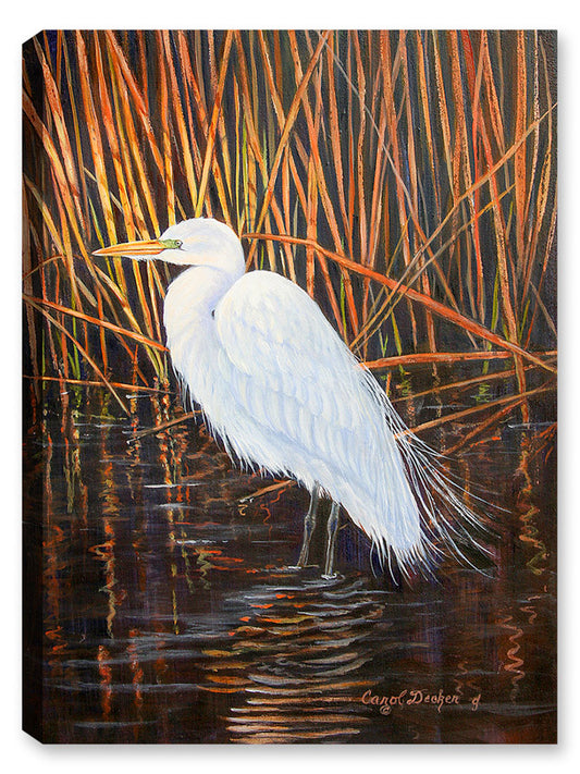 Painting of a White Egret on a Pond - Printed on Canvas.