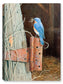Bluebird on Family Farm - Canvas Art Plus