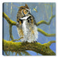 Fearless Owl - Painting by Carol Decker - Canvas Art Plus
