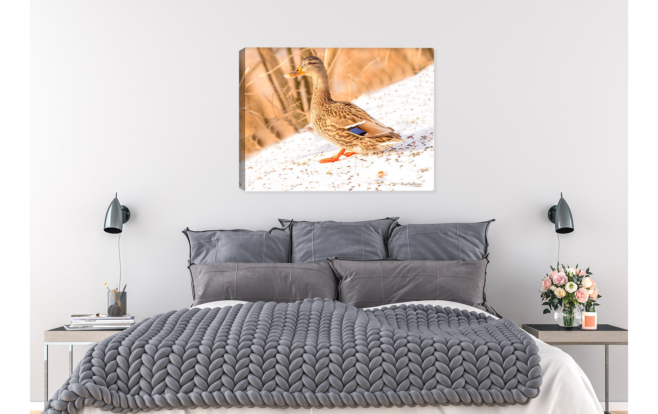 Female Mallard - Fine Art Photography - on Canvas - Hanging on Bedrom Wall