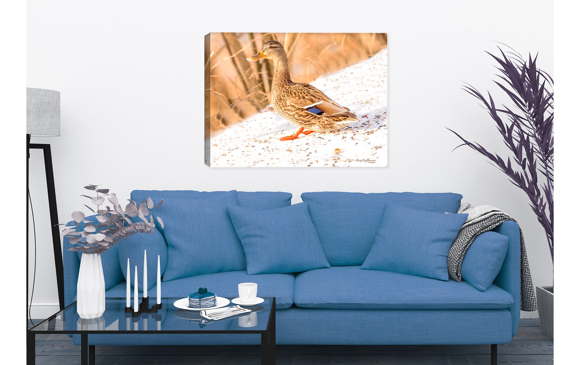 Female Mallard - Fine Art Photography - on Canvas - Hanging on Living Room Wall