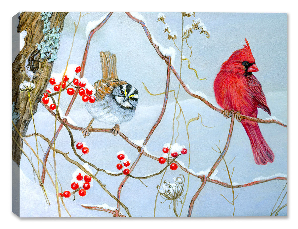 Fence line Cardinal by Carol Decker - Canvas Art Plus