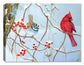 Fence line Cardinal by Carol Decker - Canvas Art Plus