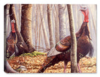 Turkey - First Call by Carol Decker - Canvas Art Plus