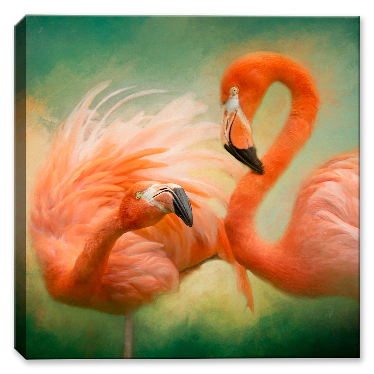 Flirt Of The Flamingos - Canvas Art