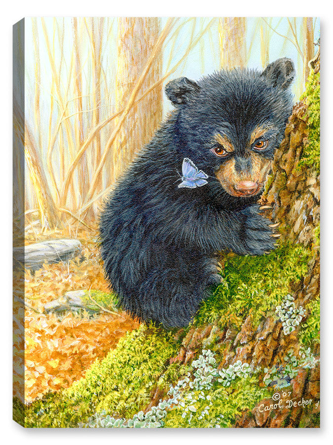 Painting of a Bear and the Butterfly -by Carol Decker - Printed on Canvas