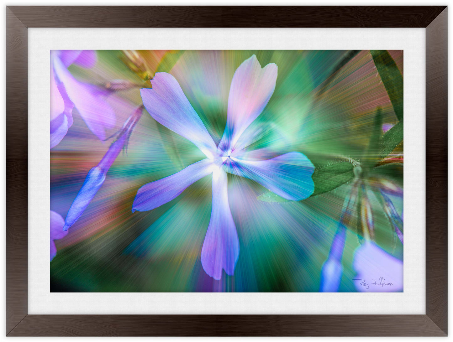 Ethereal Purple Flower - Framed Photography