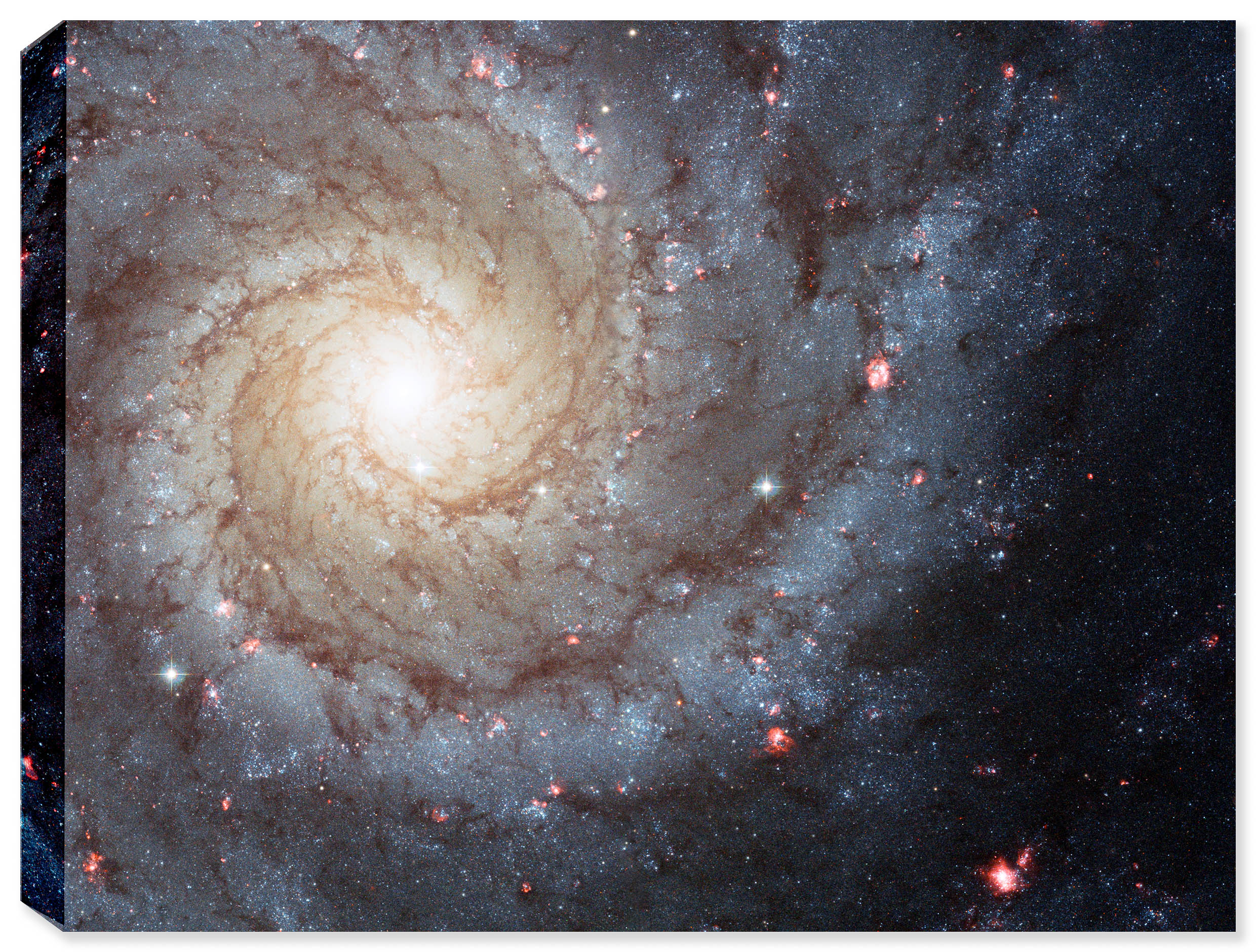 Space Photograph M74 - on Waterproof Canvas